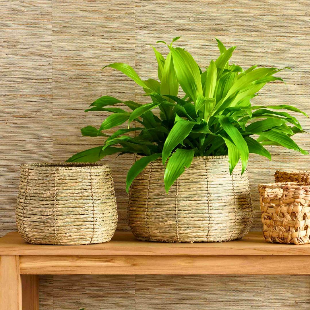 Setof3wovenPesarobaskets_perfectfororganizingorasstylishdecorativepieces_addingtextureandfunctionalitytoanylivingspace.copy