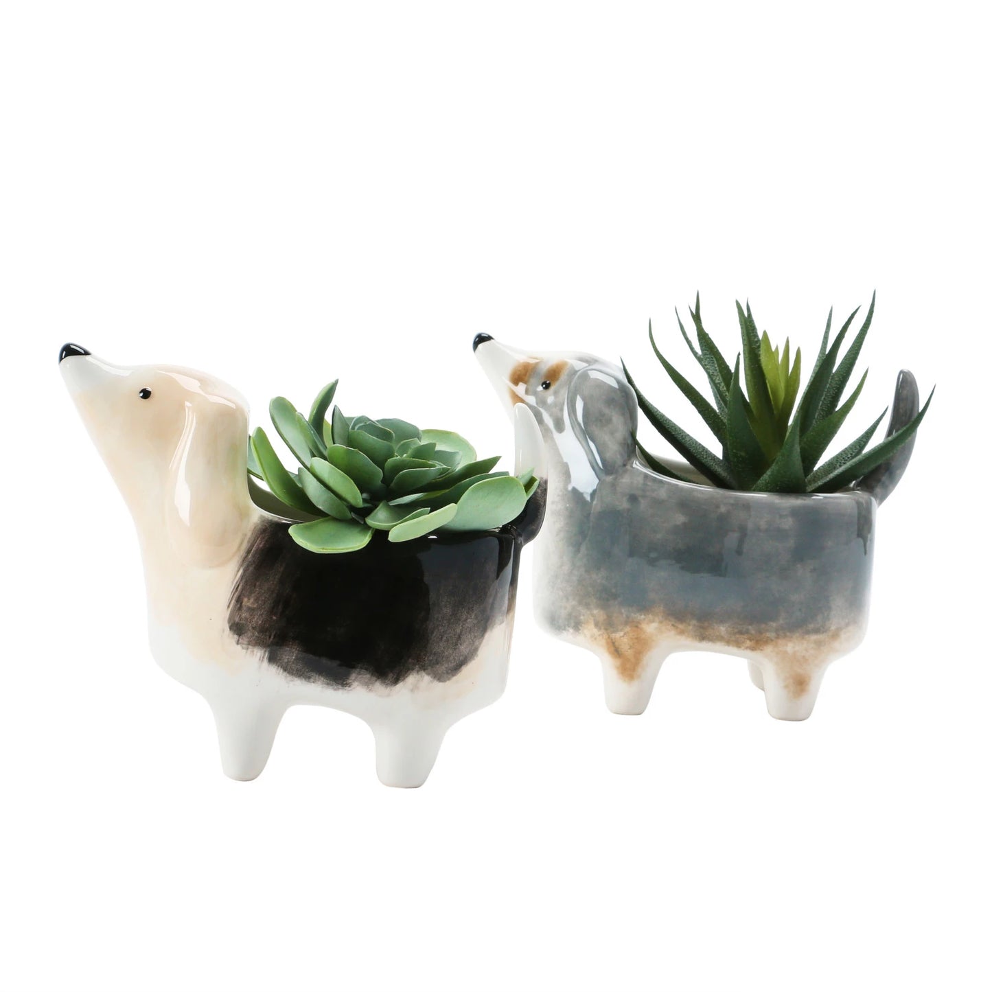 Paws & Petals Planter