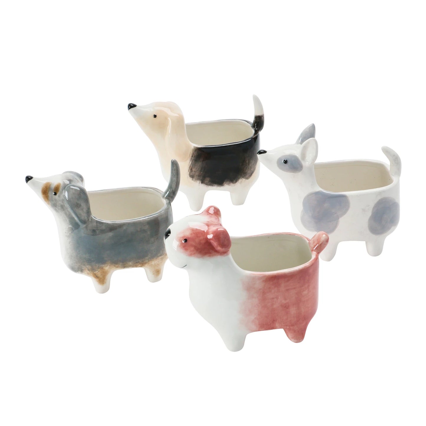 Paws & Petals Planter