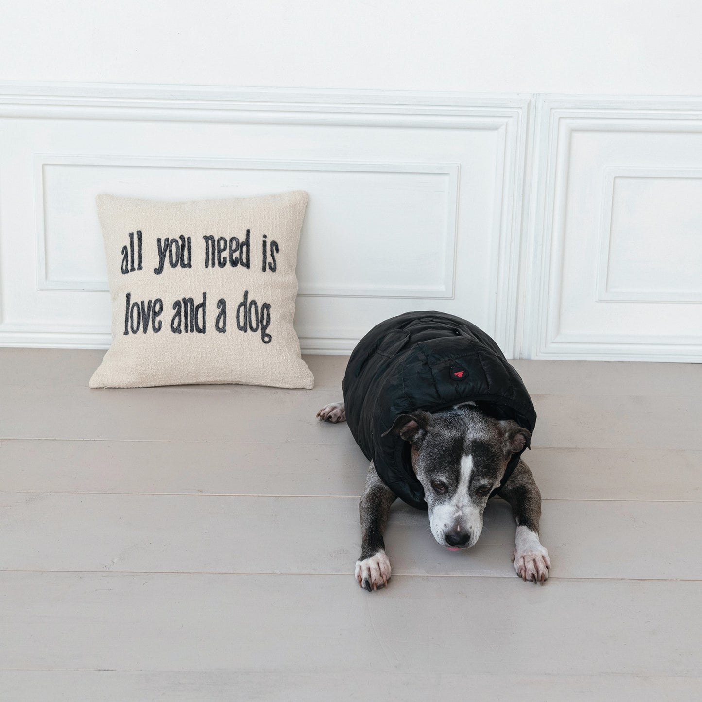 All You Need Is Love & A Dog Cotton Pillow