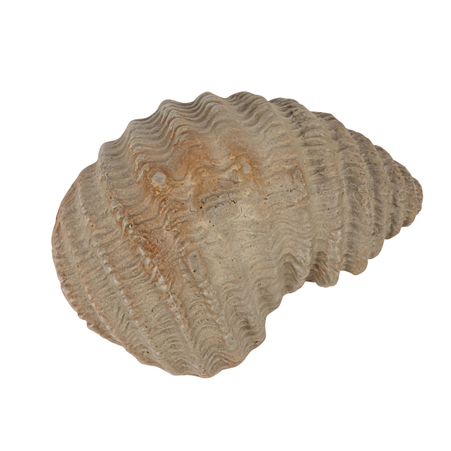 Stoneware Shell Shaped Dish