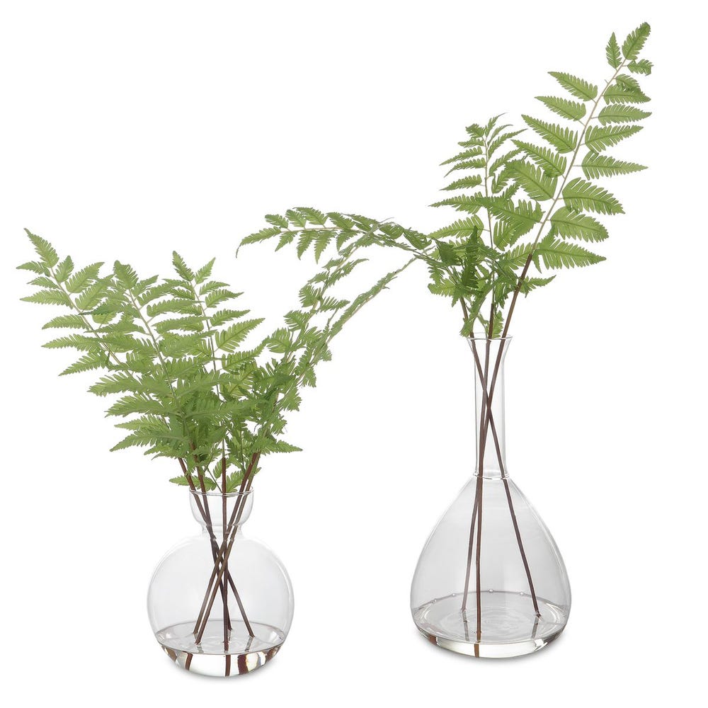 Leafy Fern Set