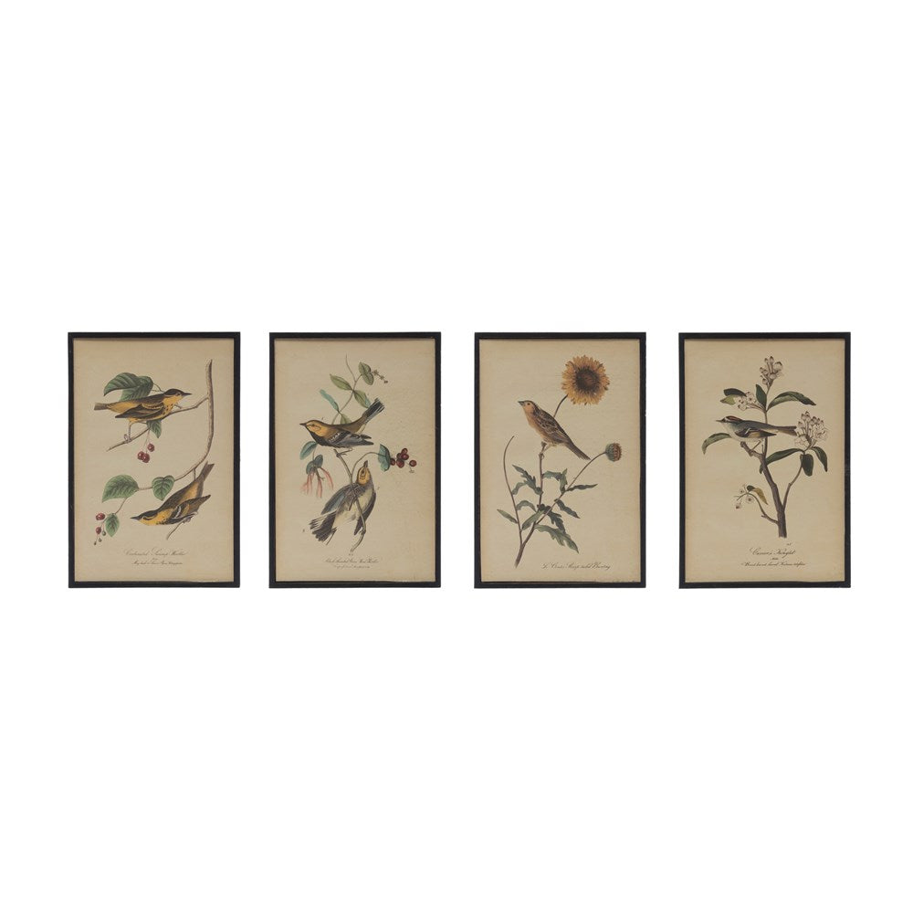 Framed Bird & Floral Picture Frame Set