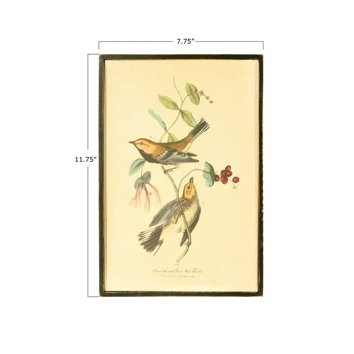 Framed Bird & Floral Picture Frame Set