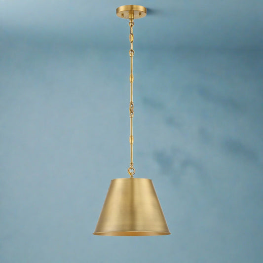 Alden One Light Pendant by Savoy House in Warm Brass Finish (7-232-1-322)